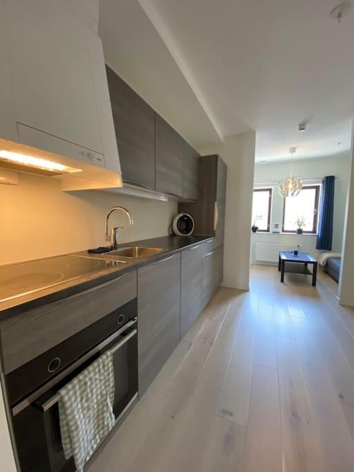 Moderne Leilighet Midt I Sentrum Av פרדריקסטאד מראה חיצוני תמונה