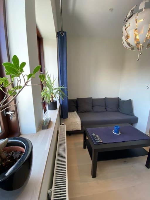 Moderne Leilighet Midt I Sentrum Av פרדריקסטאד מראה חיצוני תמונה